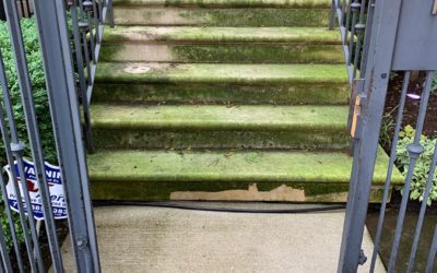 Front Step Cleaning