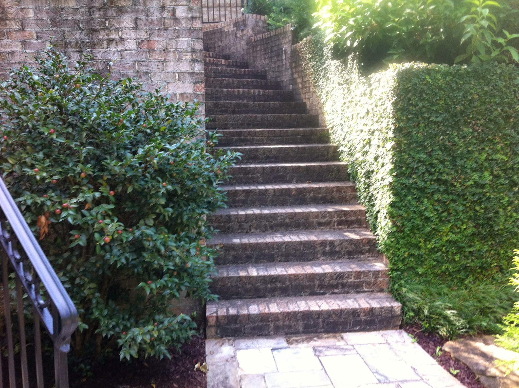 Brick Stair Clesning Lincoln Park Chicago
