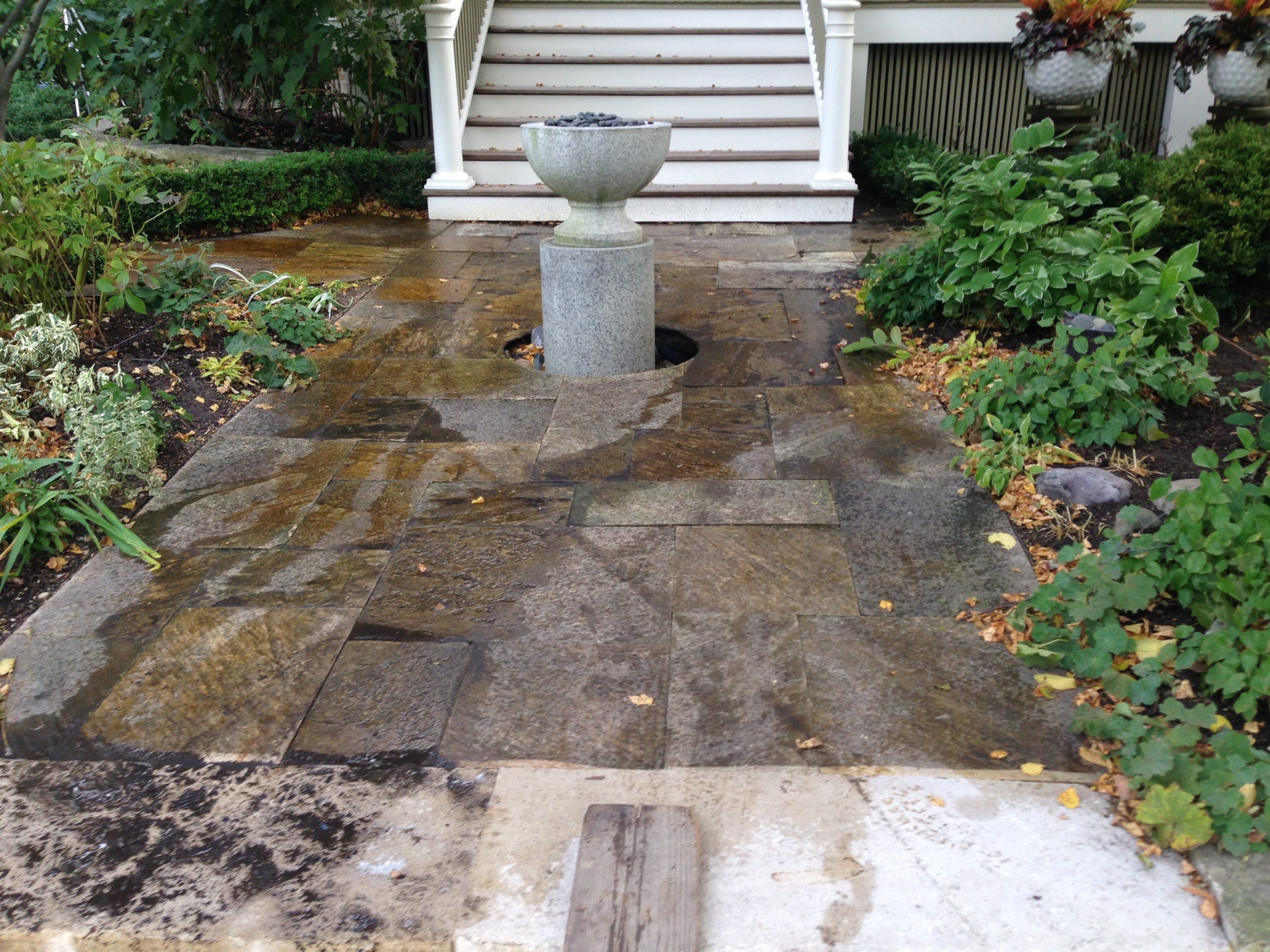 Front Entrance Way Cleaning Lincoon Park Chicago