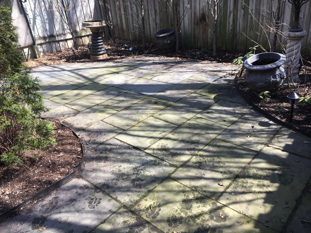 Bluestone Patio Cleaning Lincolon Park Chicago